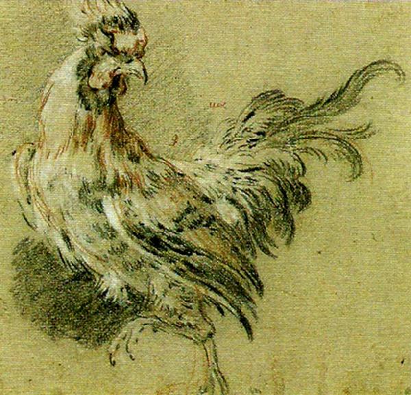 studie av tupp, Francois Boucher